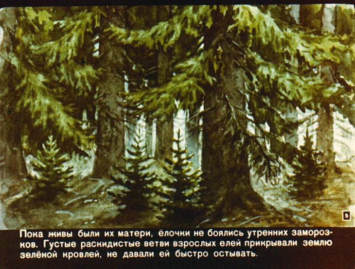 Кадр 5 диафильма «Война в лесу»