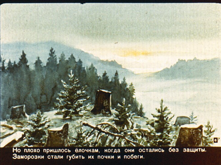 Кадр 6 диафильма «Война в лесу»