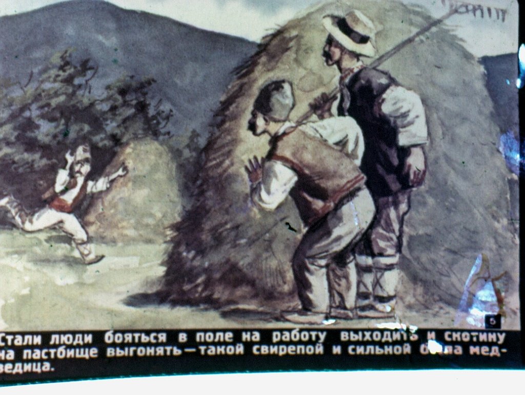Кадр 5 диафильма «Мальчик и злая медведица»