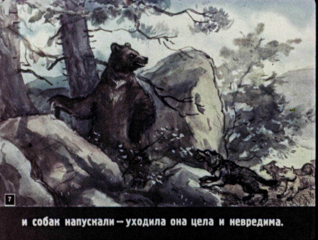 Кадр 7 диафильма «Мальчик и злая медведица»