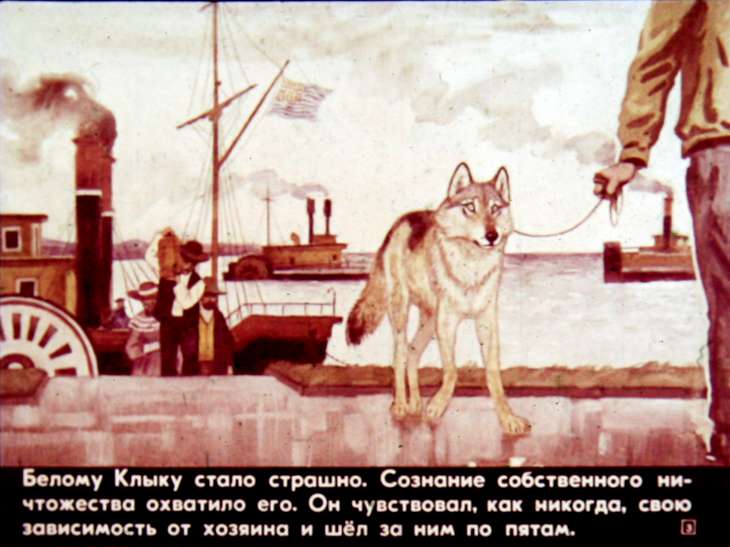 Кадр 3 диафильма «Белый Клык на Юге»