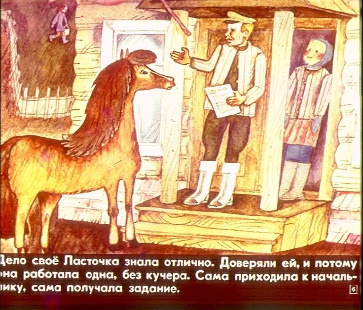Кадр 6 диафильма «Лошадь Ласточка»