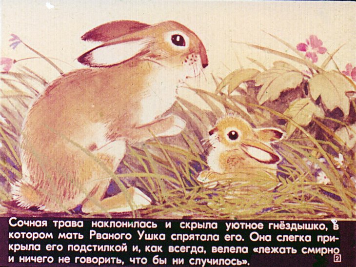 Кадр 2 диафильма «Рваное ушко»