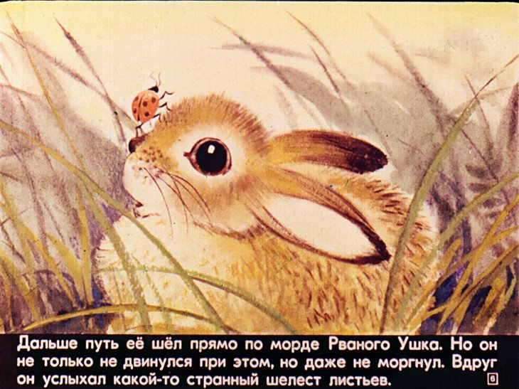 Кадр 6 диафильма «Рваное ушко»