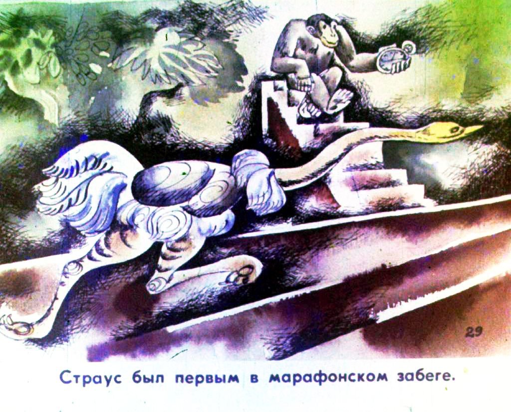 Кадр 1 диафильма «Олимпиада в джунглях. Часть 2»