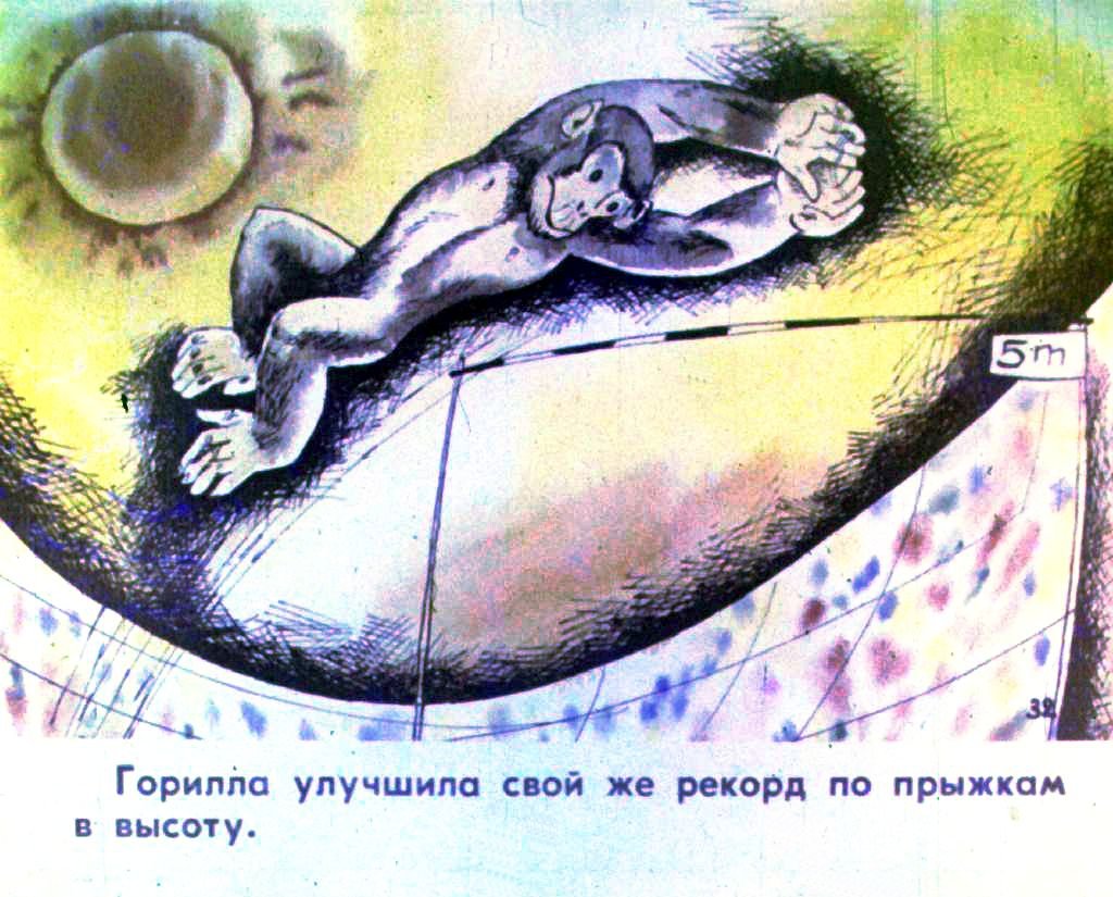 Кадр 4 диафильма «Олимпиада в джунглях. Часть 2»
