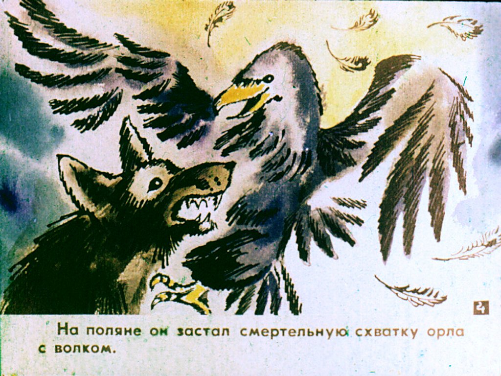 Кадр 6 диафильма «Непутевый. Часть 1»