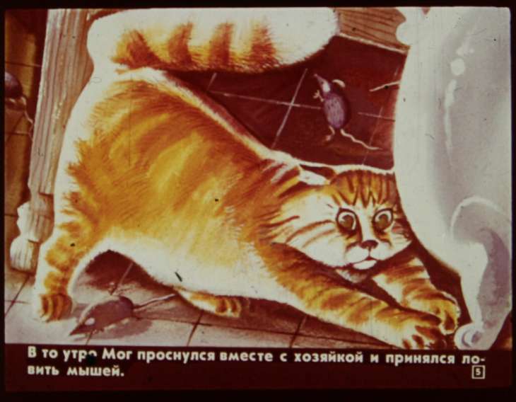 Кадр 5 диафильма «Кот из булочной»