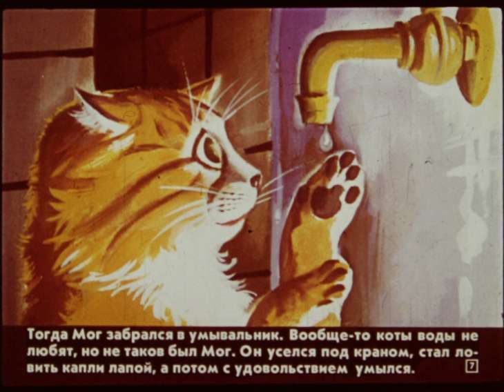 Кадр 7 диафильма «Кот из булочной»