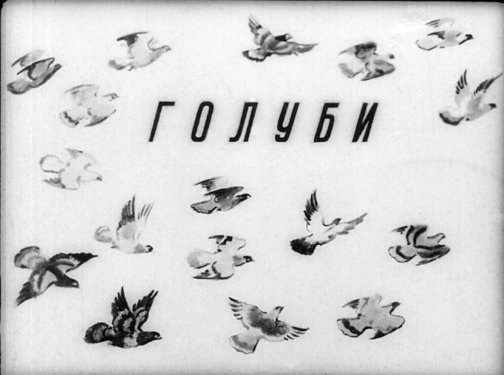 Кадр 1 диафильма «Голуби»