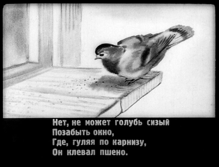 Кадр 4 диафильма «Голуби»