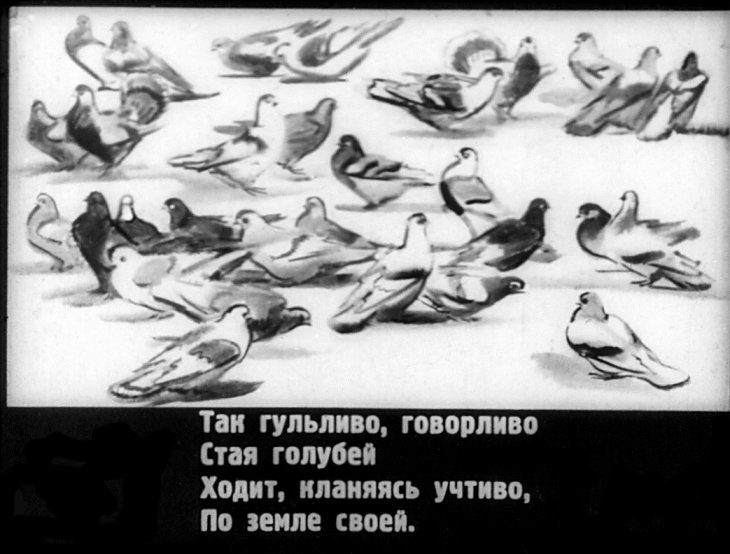 Кадр 5 диафильма «Голуби»