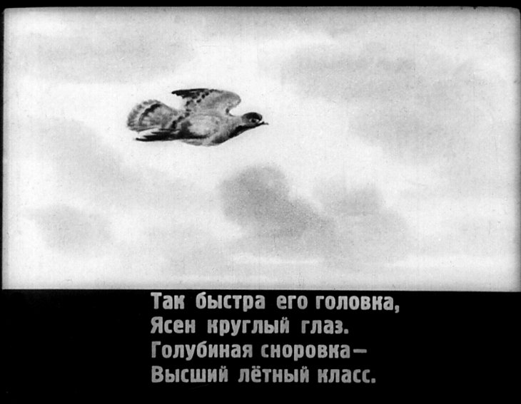 Кадр 6 диафильма «Голуби»