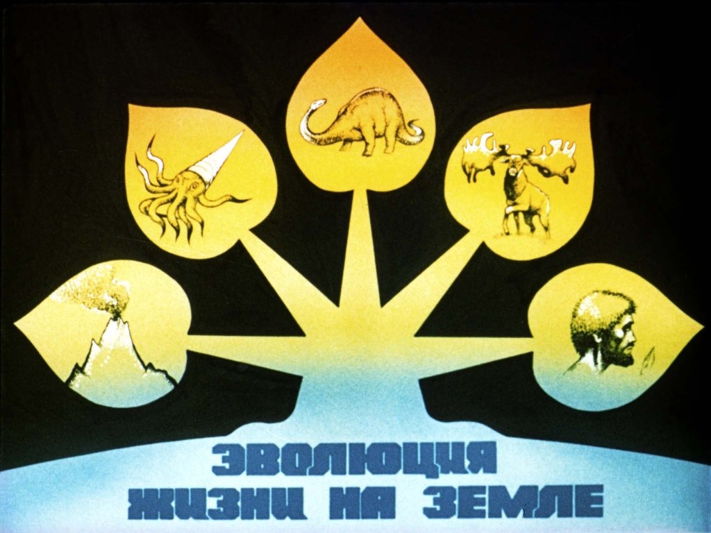 Кадр 1 диафильма «Эволюция жизни на Земле»