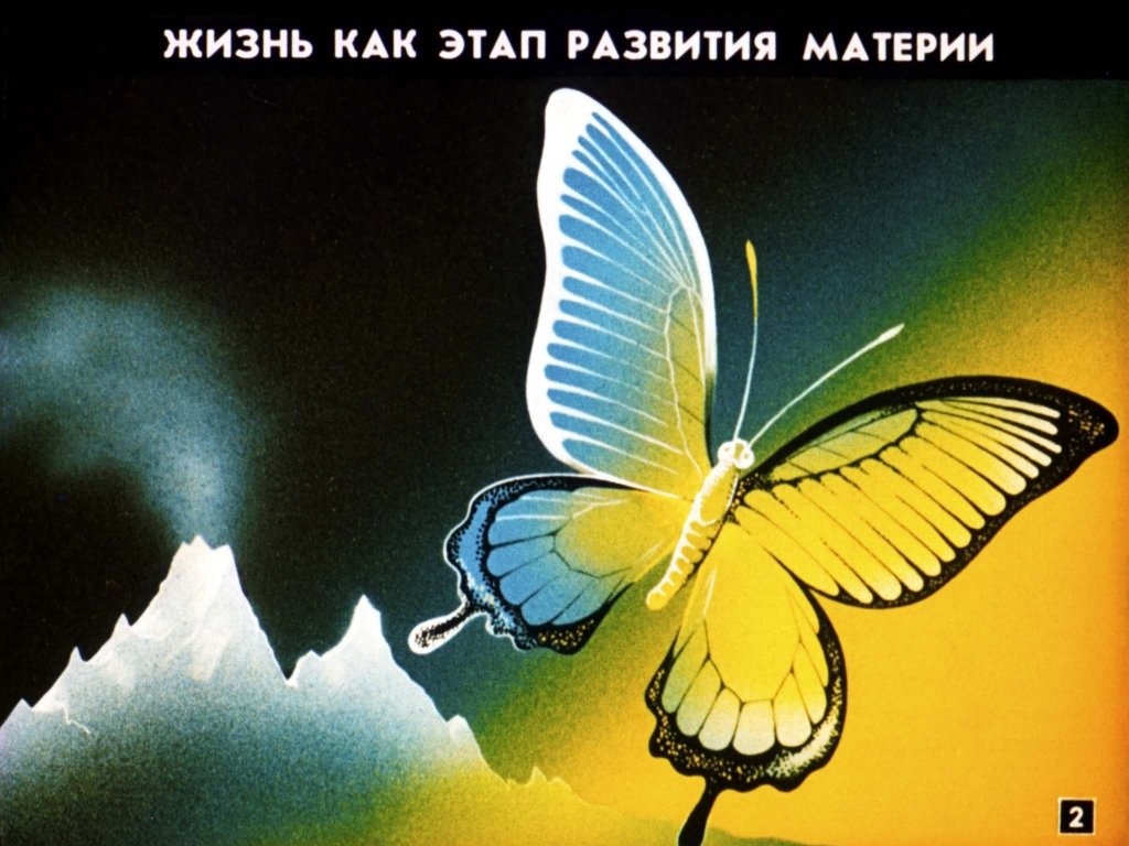 Кадр 2 диафильма «Эволюция жизни на Земле»