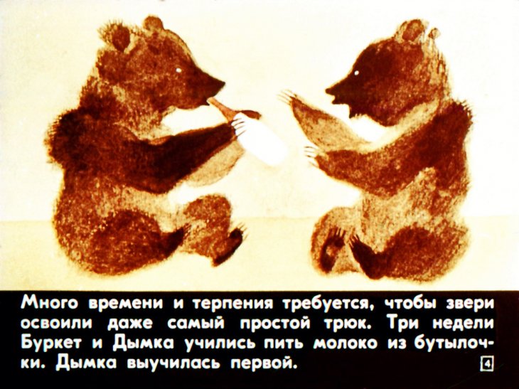 Кадр 4 диафильма «Медвежий цирк»