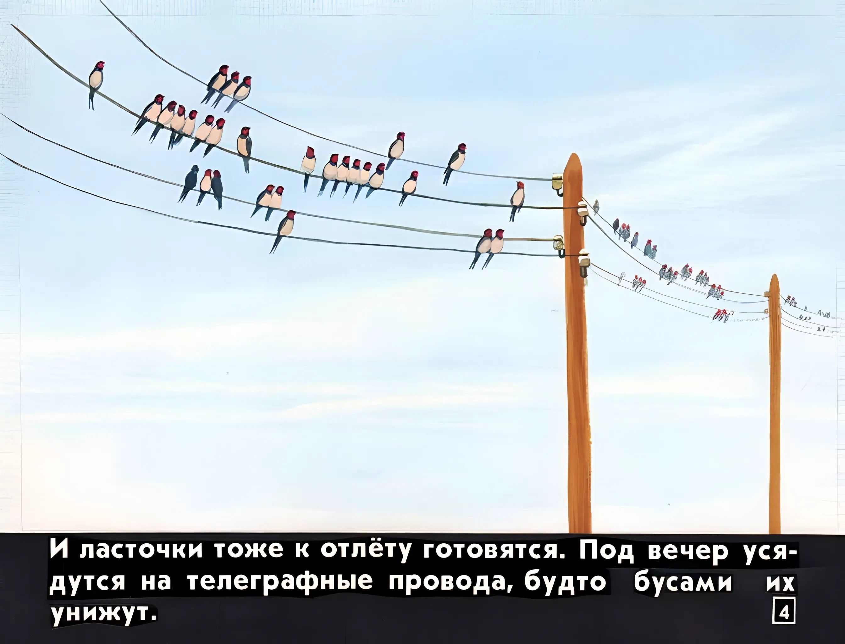 Кадр 4 диафильма «Кто как к зиме готовится»