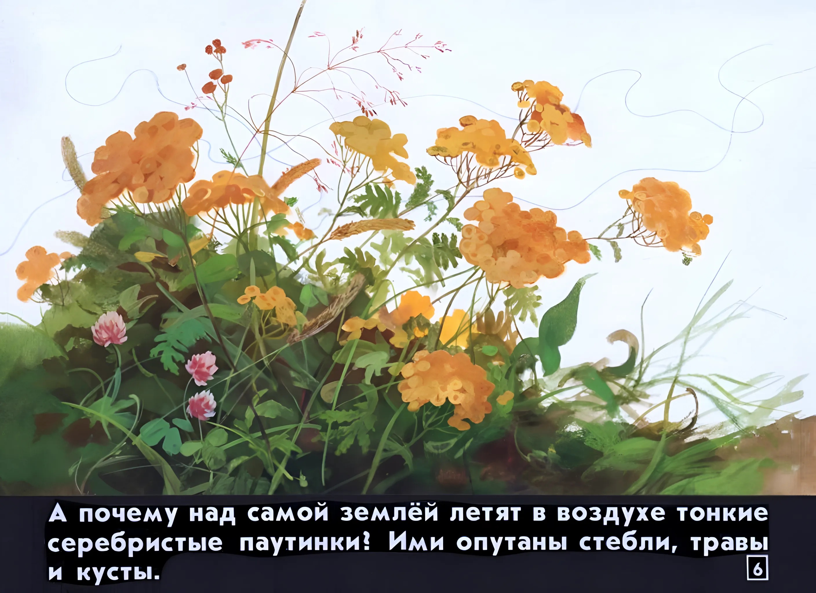 Кадр 6 диафильма «Кто как к зиме готовится»