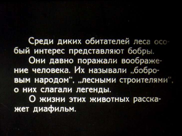 Кадр 2 диафильма «Лесная быль»