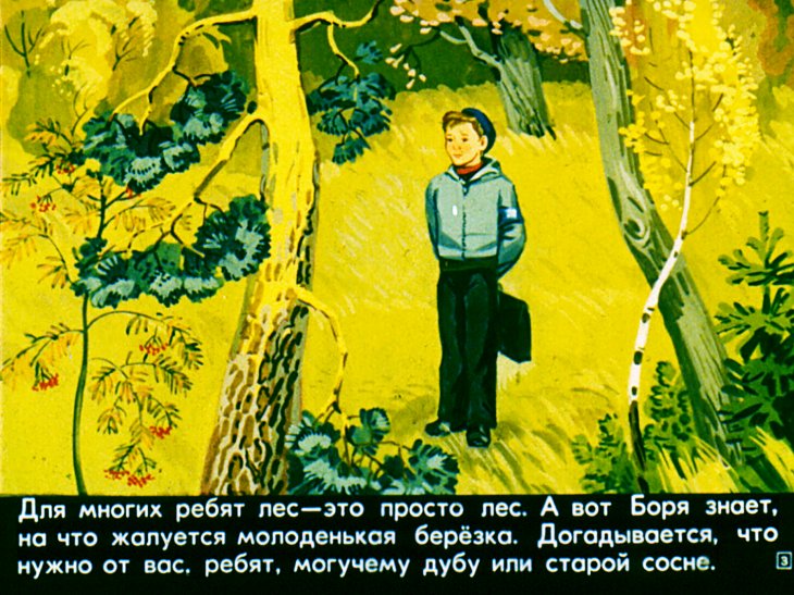 Кадр 3 диафильма «Зеленый патруль»
