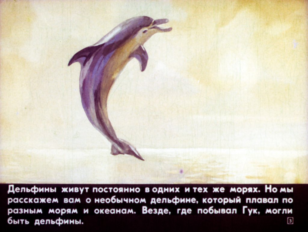 Кадр 3 диафильма «Приключения дельфина Гука»