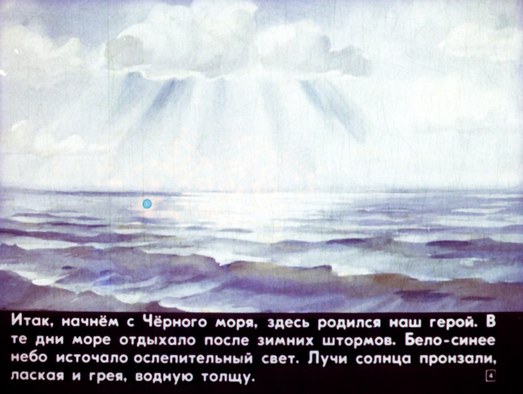 Кадр 4 диафильма «Приключения дельфина Гука»