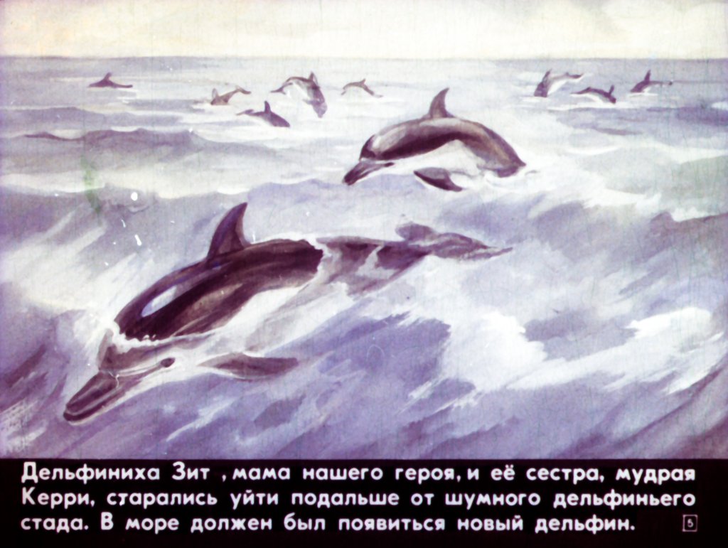 Кадр 5 диафильма «Приключения дельфина Гука»