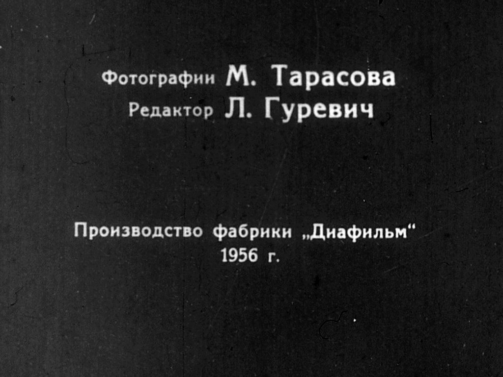 Кадр 2 диафильма «В обезьяньем питомнике»