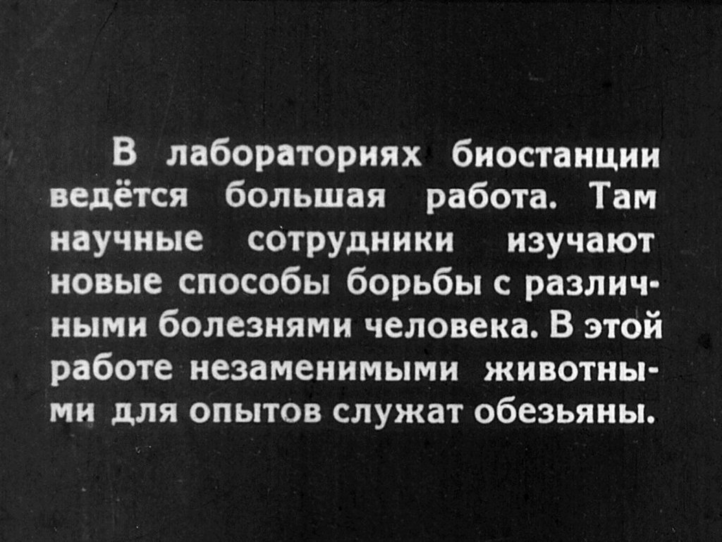 Кадр 4 диафильма «В обезьяньем питомнике»