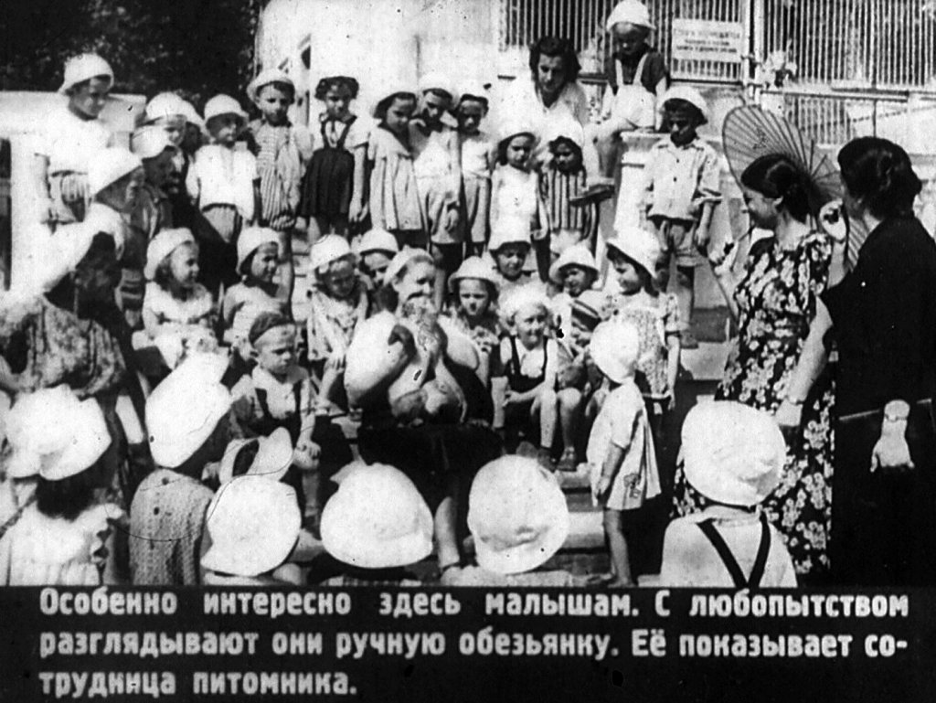 Кадр 7 диафильма «В обезьяньем питомнике»