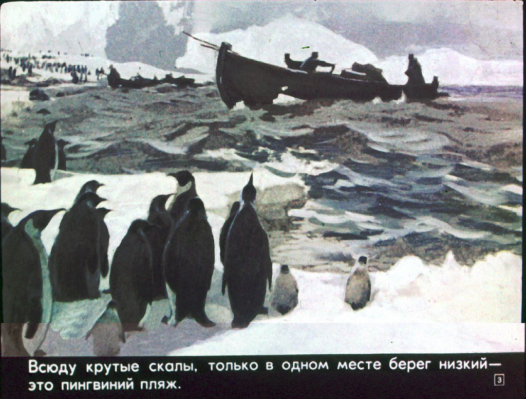 Кадр 3 диафильма «Про пингвинов»