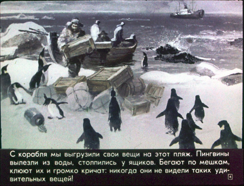 Кадр 4 диафильма «Про пингвинов»