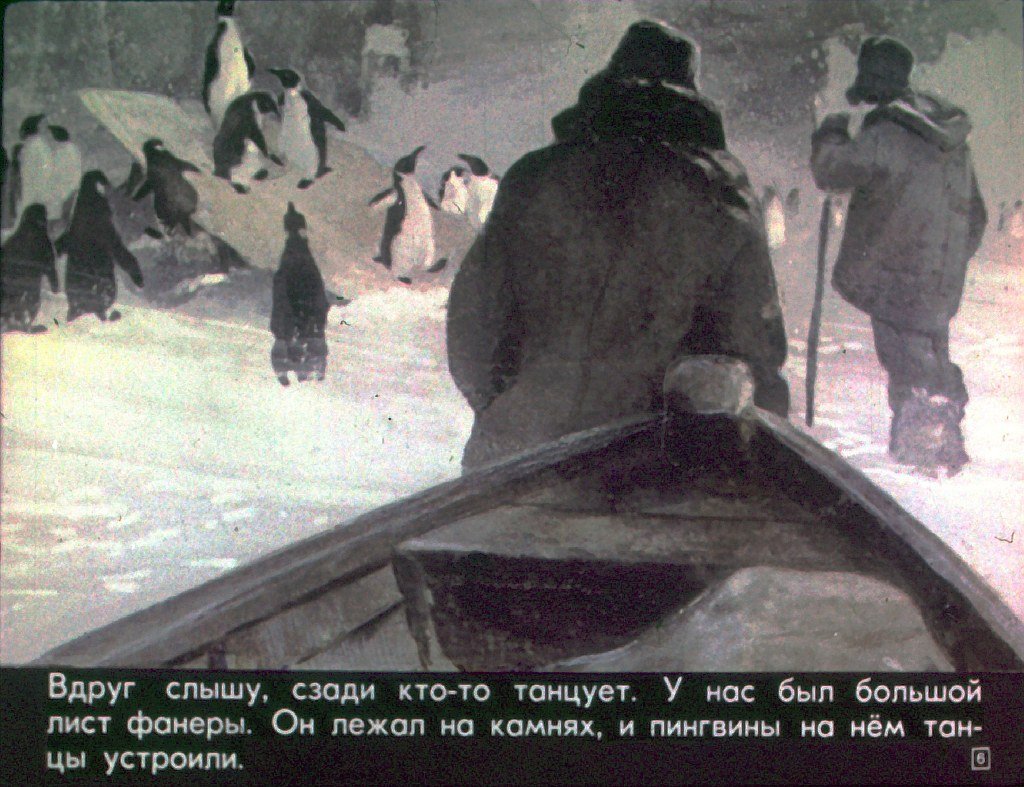 Кадр 6 диафильма «Про пингвинов»