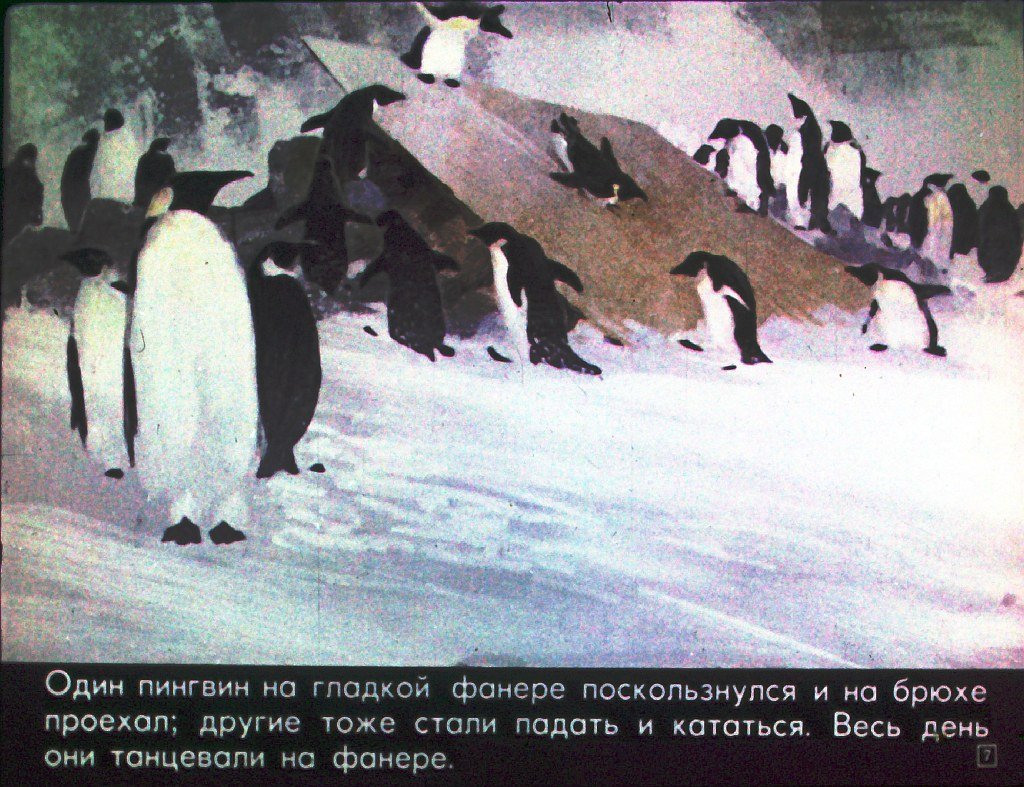 Кадр 7 диафильма «Про пингвинов»