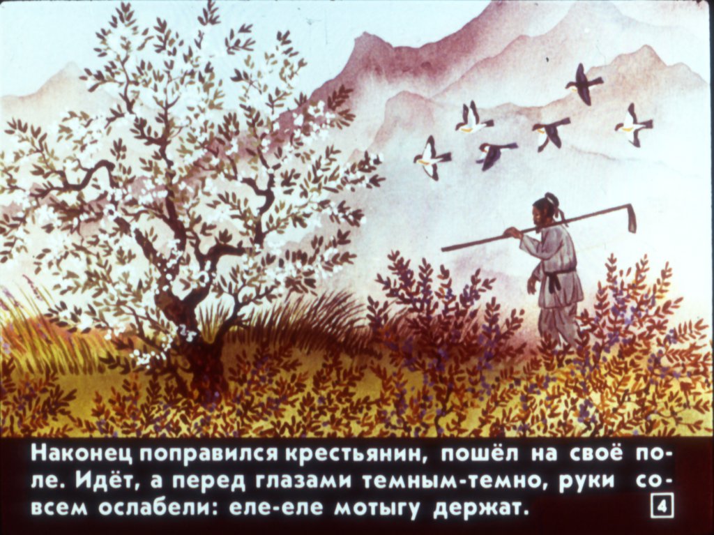 Кадр 4 диафильма «Просяное дерево»