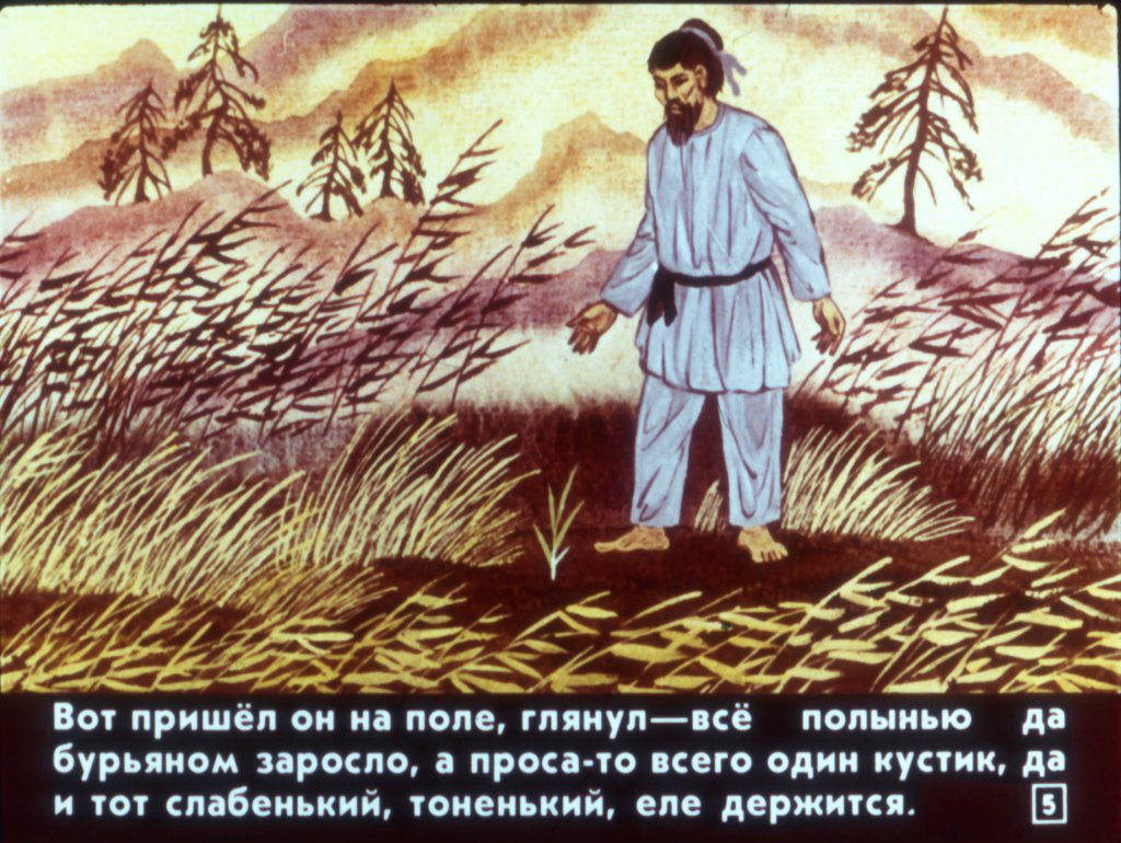 Кадр 5 диафильма «Просяное дерево»