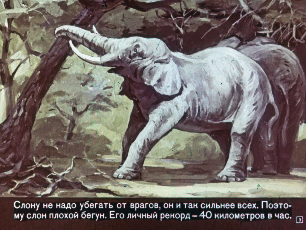 Кадр 3 диафильма «Почему лягушки падают с неба»