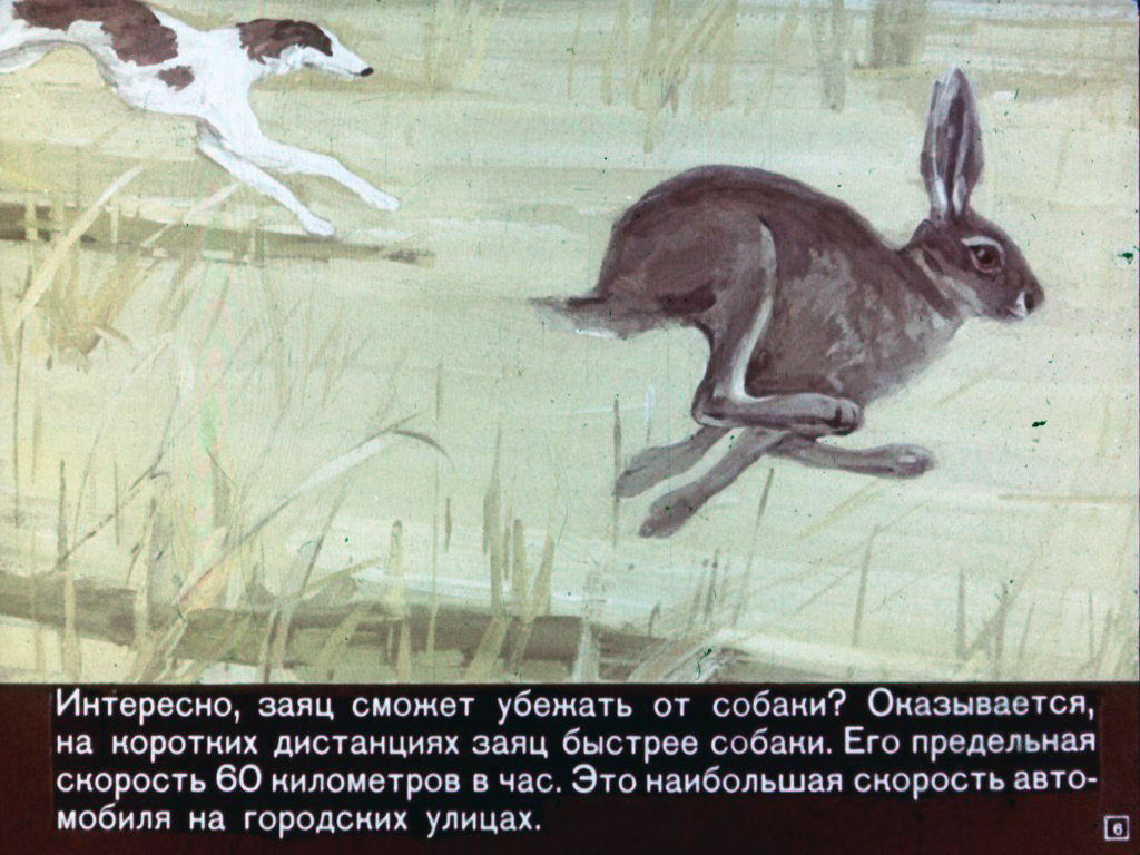 Кадр 6 диафильма «Почему лягушки падают с неба»