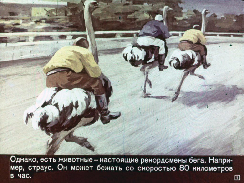 Кадр 7 диафильма «Почему лягушки падают с неба»