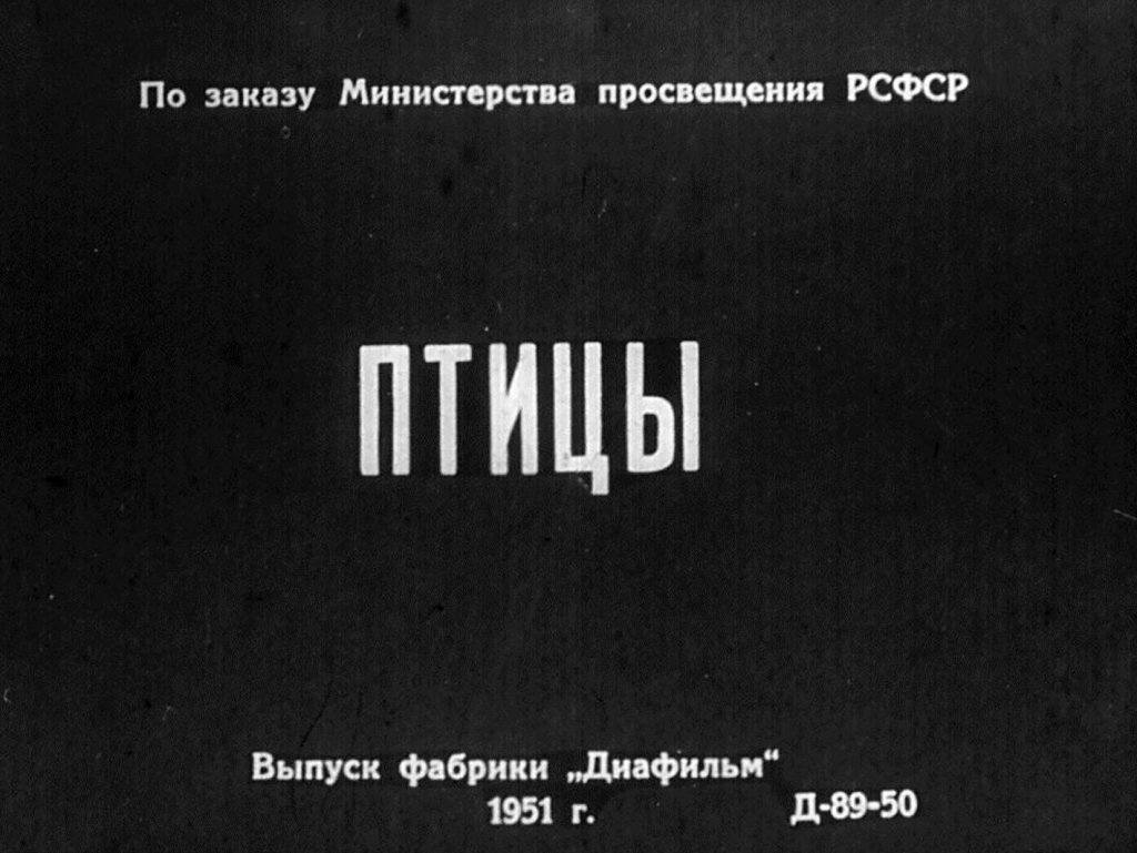 Кадр 1 диафильма «Птицы»
