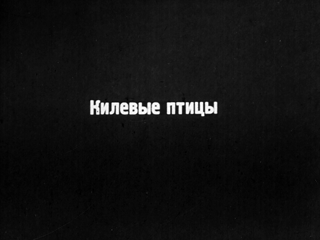 Кадр 3 диафильма «Птицы»