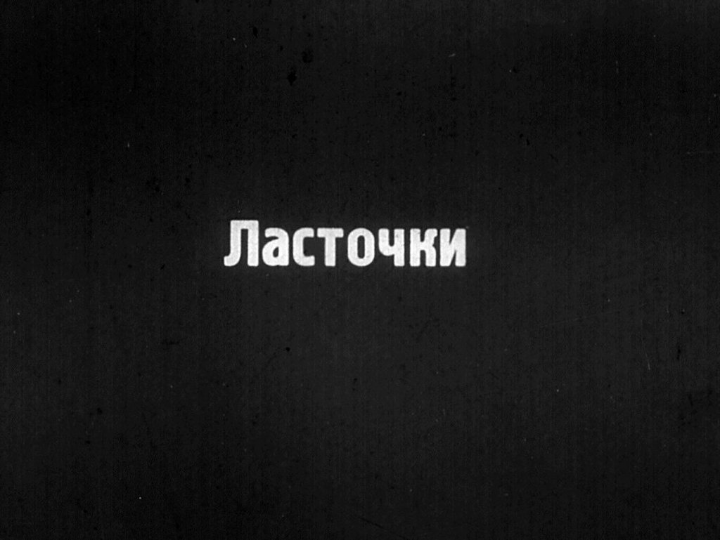 Кадр 5 диафильма «Птицы»