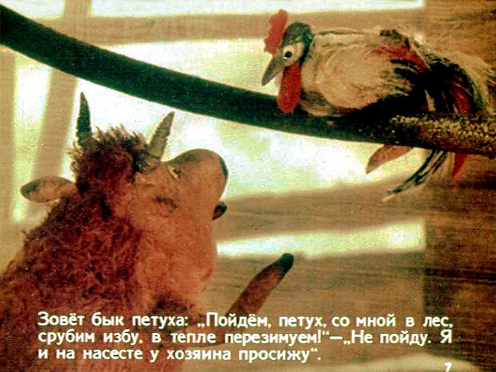 Кадр 7 диафильма «Как бык, баран, гусь да петух зиму зимовали»