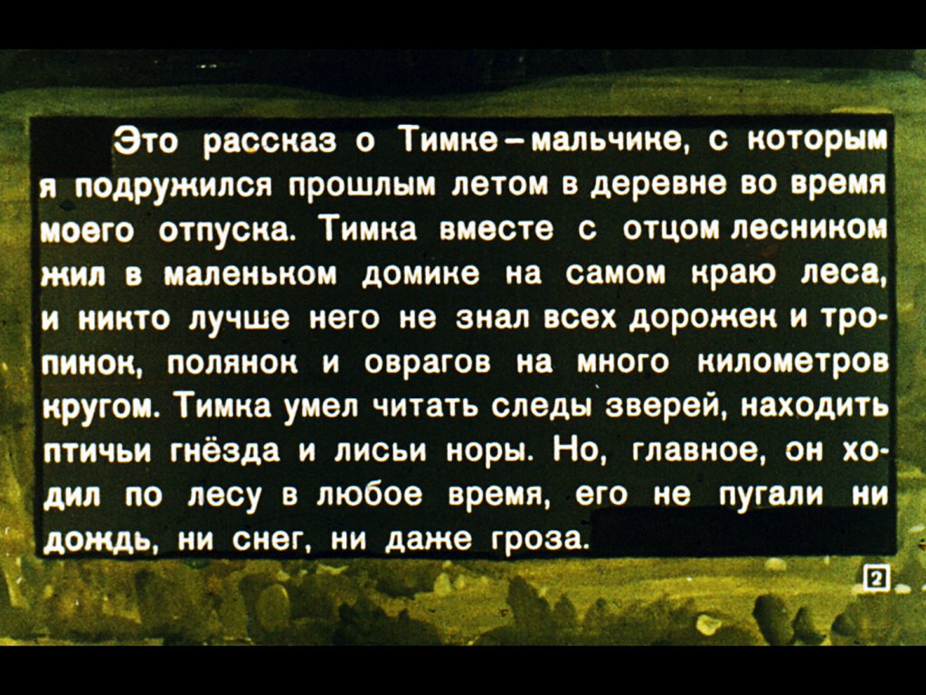 Кадр 2 диафильма «Мой друг рыжий Тимка»