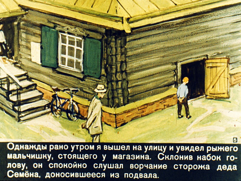 Кадр 5 диафильма «Мой друг рыжий Тимка»