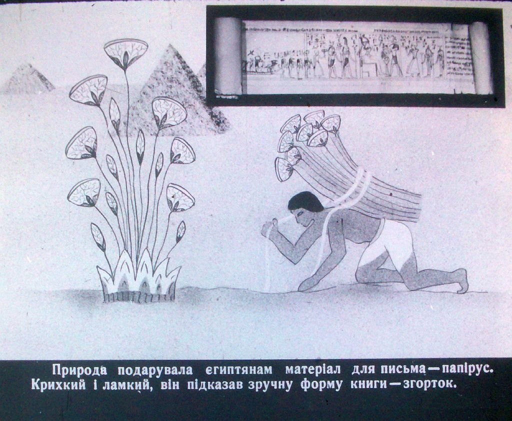 Кадр 6 диафильма «К тайнам книжных сокровищ»