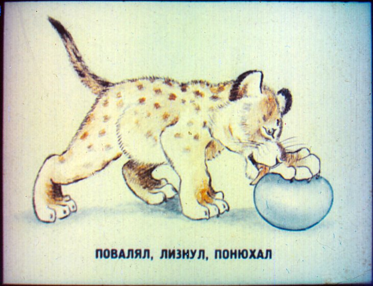 Кадр 4 диафильма «Плохая игрушка»