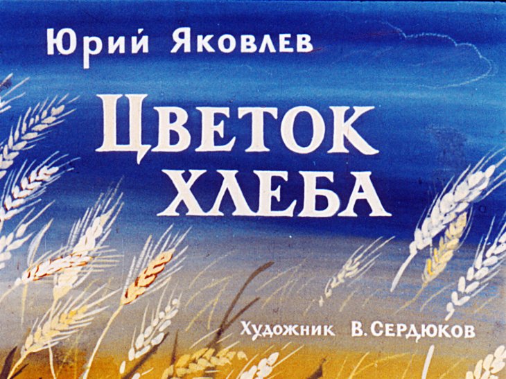 Кадр 1 диафильма «Цветок хлеба»