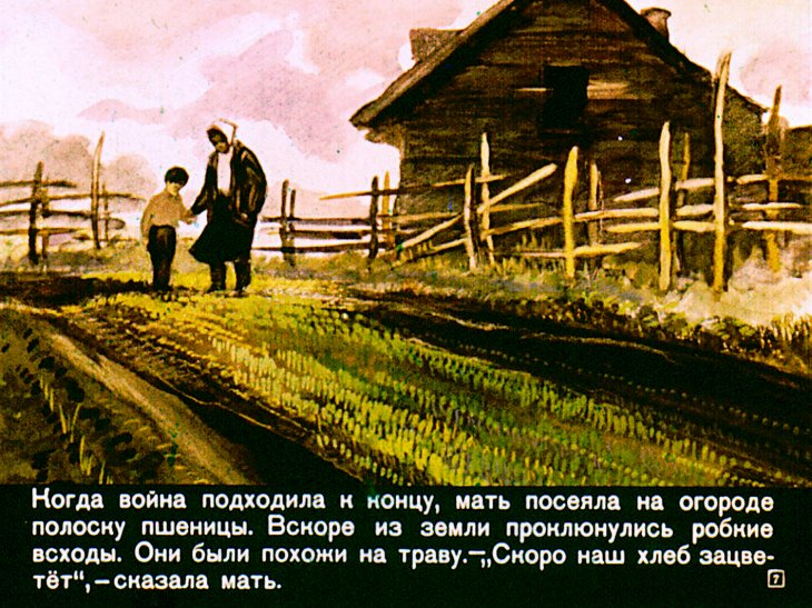 Кадр 7 диафильма «Цветок хлеба»