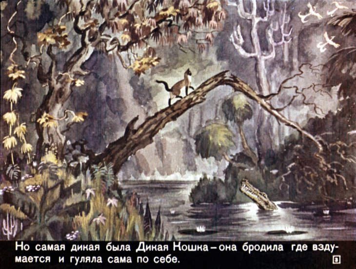 Кадр 3 диафильма «Кошка, гулявшая сама по себе»